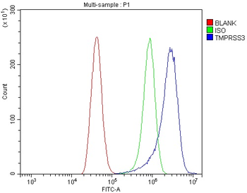 TMPRSS3 Rabbit Polyclonal Antibody