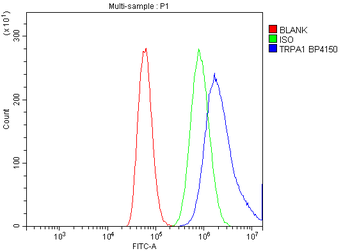 TRPA1/TSA Rabbit Polyclonal Antibody