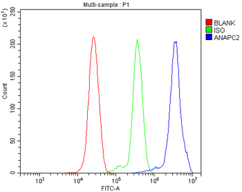 ANAPC2 Rabbit Polyclonal Antibody