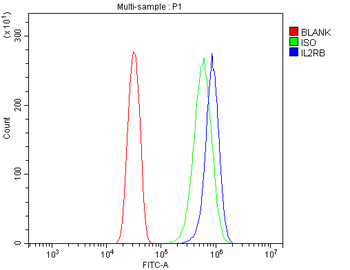 IL2 Receptor beta/p75/IL2RB Antibody