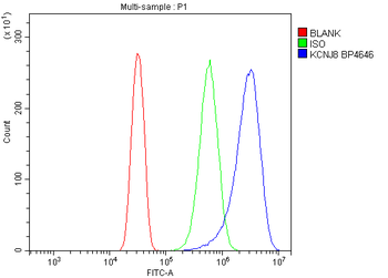 Kir6.1/KCNJ8 Rabbit Polyclonal Antibody