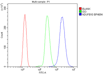 NDUFB10 Rabbit Polyclonal Antibody