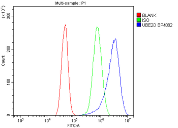UBE2D1/2/3/4 Antibody