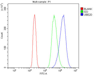 UBE2D1/2/3/4 Antibody