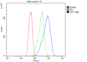 eRF1/ETF1 Antibody (monoclonal, 3B6)