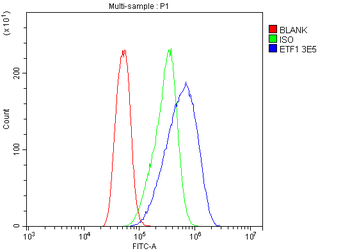 eRF1/ETF1 Mouse Monoclonal Antibody