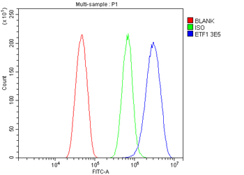 eRF1/ETF1 Mouse Monoclonal Antibody