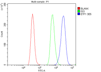 eRF1/ETF1 Mouse Monoclonal Antibody