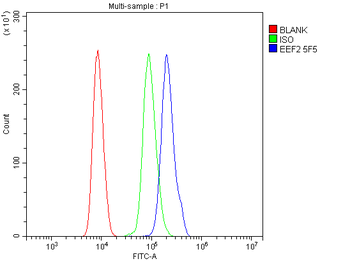 EEF2 Mouse Monoclonal Antibody