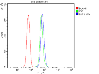EEF2 Mouse Monoclonal Antibody