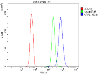 APPL/APPL1 Mouse Monoclonal Antibody