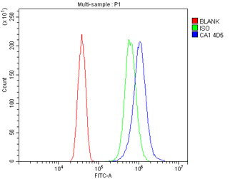 Carbonic Anhydrase I/CA1 Mouse Monoclonal Antibody