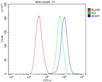 AFAP/AFAP1 Rabbit Polyclonal Antibody