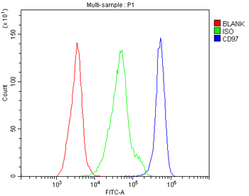 CD97/Adgre5 Rabbit Polyclonal Antibody