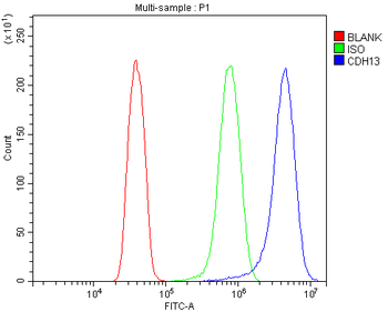H Cadherin/CDH13 Rabbit Polyclonal Antibody