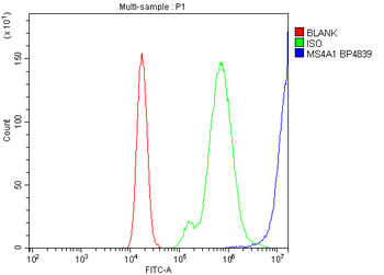 CD20/MS4A1 Antibody