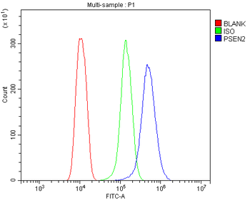 Presenilin 2/AD5/PSEN2 Rabbit Polyclonal Antibody