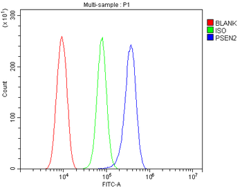 Presenilin 2/AD5/PSEN2 Rabbit Polyclonal Antibody