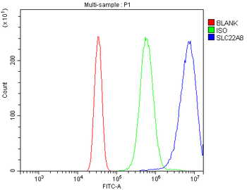 OAT3/Slc22a8 Antibody