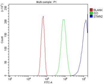 SCG10/STMN2 Antibody