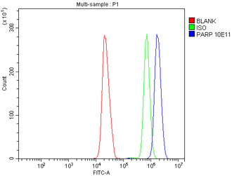 PARP/PARP1 Antibody (monoclonal, 10E11)
