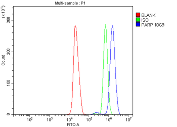 PARP/PARP1 Antibody (monoclonal, 10G9)