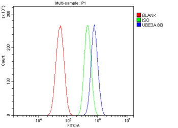 UBE3A Mouse Monoclonal Antibody