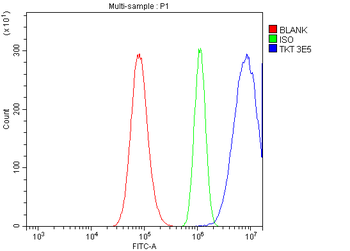 Transketolase/TKT Antibody (monoclonal, 3E5)