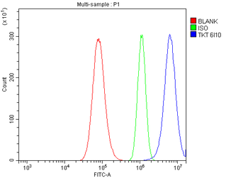 Transketolase/TKT Antibody (monoclonal, 2I3)