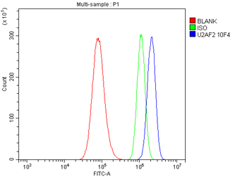 U2AF65/U2AF2 Picoband® Mouse Monoclonal Antibody