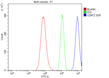 U2AF65/U2AF2 Picoband® Mouse Monoclonal Antibody