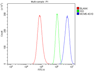 MCM5 Mouse Monoclonal Antibody