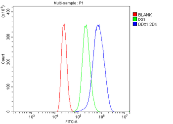 DDX1 Picoband® Mouse Monoclonal Antibody