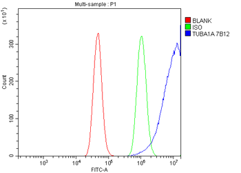 Tubulin alpha Antibody (monoclonal, 7B12)