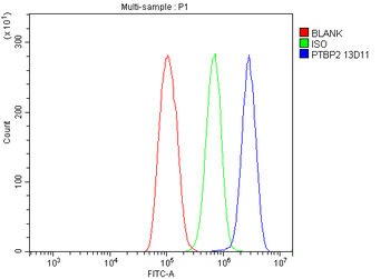 PTBP2 Mouse Monoclonal Antibody