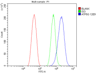 ATP5F1,2,3/ATP5MC1,2,3 /ATP5F1 Mouse Monoclonal Antibody