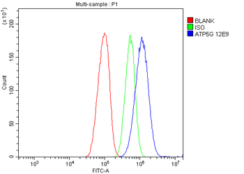 ATP5F1,2,3/ATP5MC1,2,3 /ATP5F1 Mouse Monoclonal Antibody