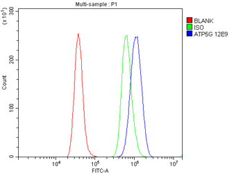 ATP5F1,2,3/ATP5MC1,2,3 /ATP5F1 Mouse Monoclonal Antibody