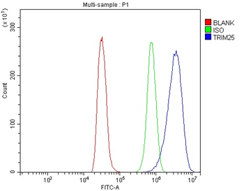TRIM25/EFP Rabbit Polyclonal Antibody