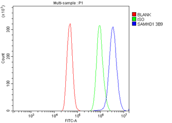SAMHD1 Mouse Monoclonal Antibody