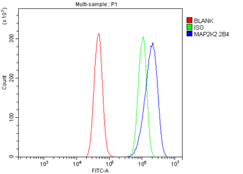 MEK2/MAP2K2 Mouse Monoclonal Antibody