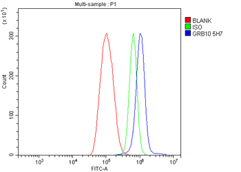 GRB10 Mouse Monoclonal Antibody