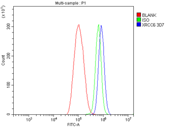 Ku70 Mouse Monoclonal Antibody