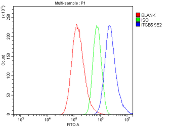 Integrin beta 5/ITGB5 Antibody (monoclonal, 9E2)
