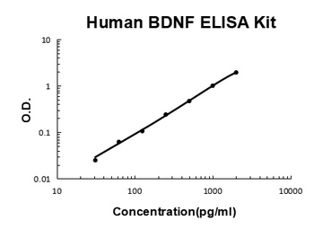 Human BDNF Quick ELISA Kit