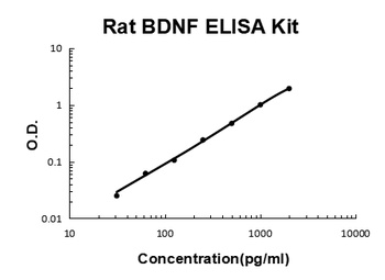 Rat BDNF Quick ELISA Kit