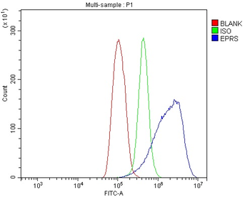 EPRS1/PARS Rabbit Polyclonal Antibody