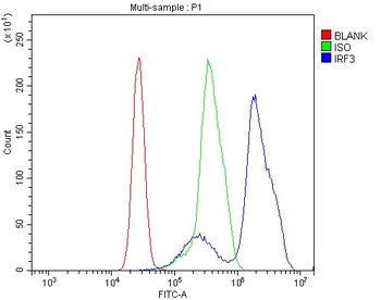 IRF3 Rabbit Polyclonal Antibody