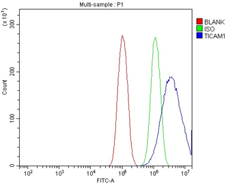 TRIF/TICAM1 Antibody