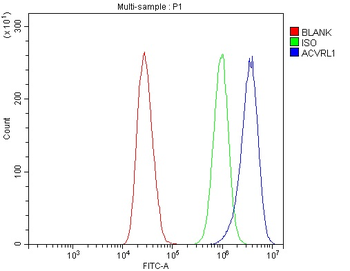 ALK-1/ACVRL1 Antibody